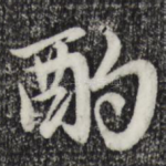 酌