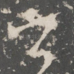 公