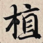植