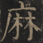 麻