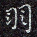 羽