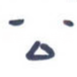 公