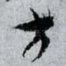 方