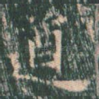 遒