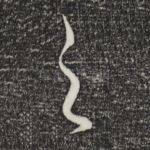 之