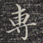 专