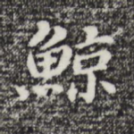 鲸