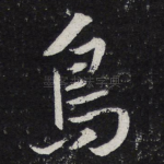 鸟