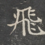 飞