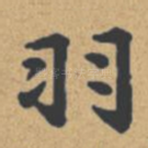 羽