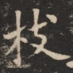 枝