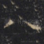 八