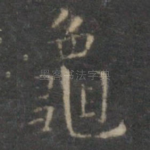 龟