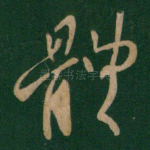 体