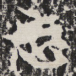 忘