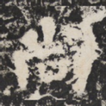 尚