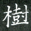 树