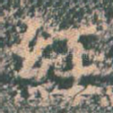 经