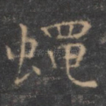 蝇