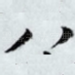 八