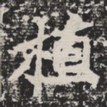 植
