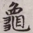 龟