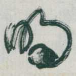 明