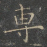专