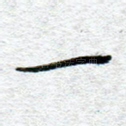 一