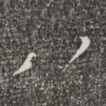 八