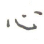 心