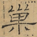 巢