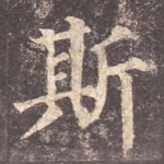 斯
