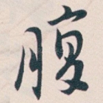 腹