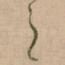 之