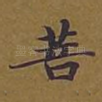 菩