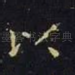 以