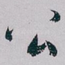 公