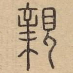 亲