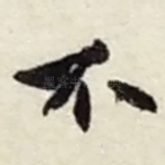 不