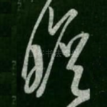 瞻