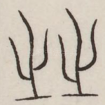 之