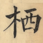 栖