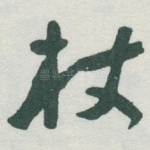 杖