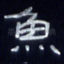 鱼