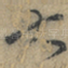大