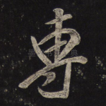 专