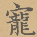 宠