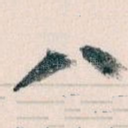 八
