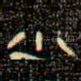 小